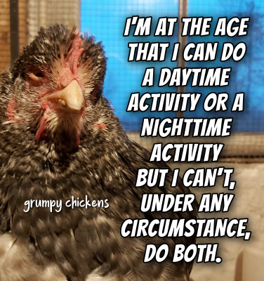 IMG_1641126494244.png