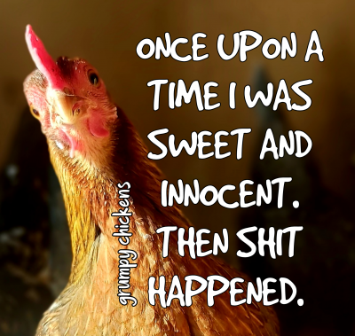 IMG_1634206097571.png