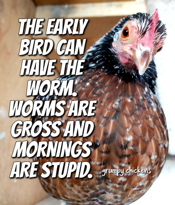 IMG_1647206607008.png