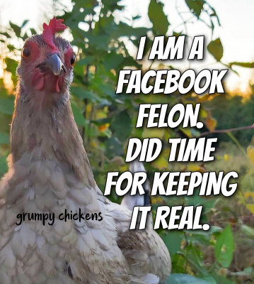 IMG_1634724991739.png