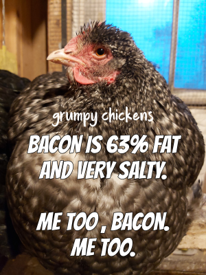 IMG_1637752897817.png