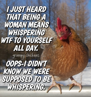 IMG_1646092284928.png