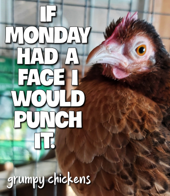 IMG_1612179850655.png