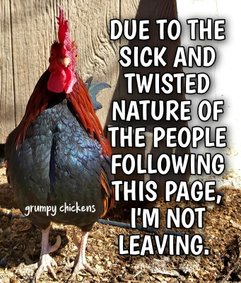 IMG_1645615426225.png