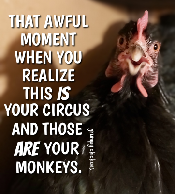 IMG_1642591776155.png