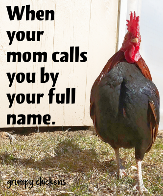 created_image_1587161453133.png