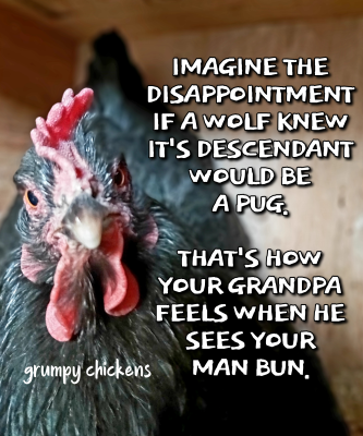 IMG_1641382563938.png