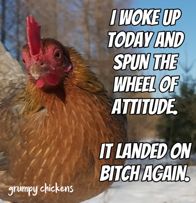 IMG_1612265790924.png