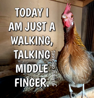 IMG_1647426104437.png