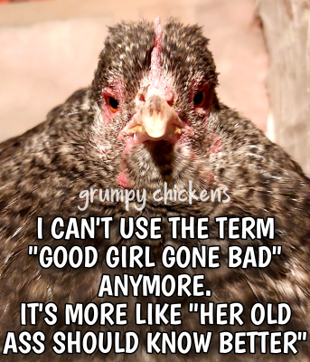 IMG_1639002786551.png