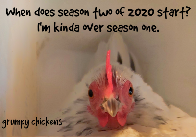 created_image_1587120701351.png