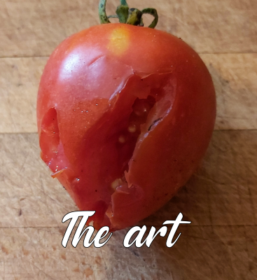 created_image_1597604271670.png