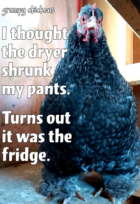 created_image_1587344084673.png