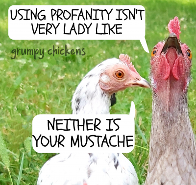 IMG_1637061497136.png