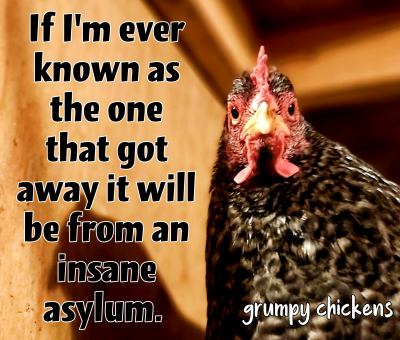 created_image_1591641605153.png