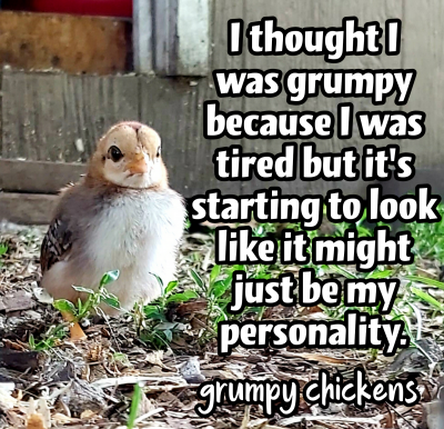 created_image_1595473643131.png