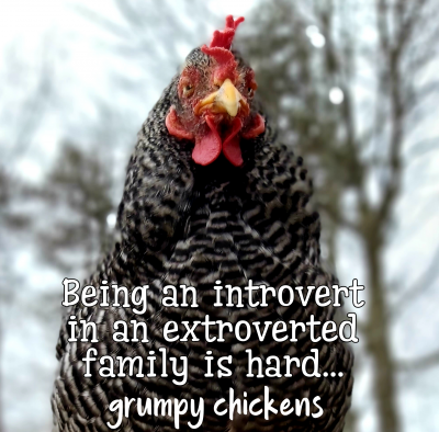 created_image_1591539835662.png