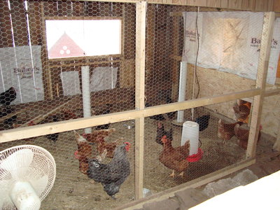 This is the enclosure in the barn.