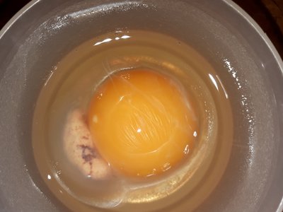 Growth on yolk.