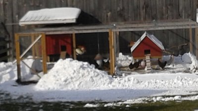 This is a pic after we shoveled snow out of the yard this November after the first snowfall. It's almost all melted away by today.