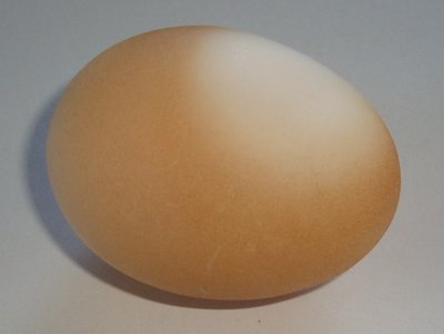 The light part is the egg, not any illumination on it.