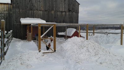 ChkYrd-Feb-13-2017.jpg