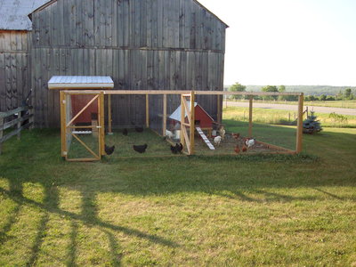 This is what our set-up looked like 6 months ago because it was new. Notice there is grass in the yard.