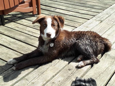 Muddy Kukla 22.jpg