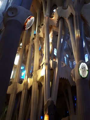 Interior of the Sagrada