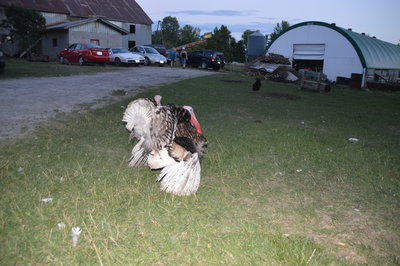 DSC_0123.JPG