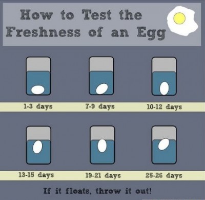egg-freshness-chart.jpg