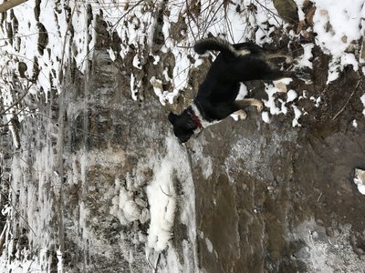 IMG_4854.JPG