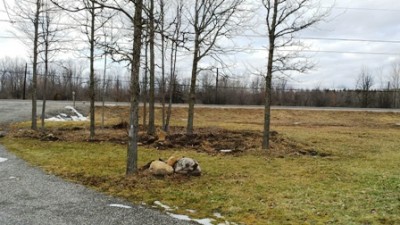 Yard2 Feb 1 2016.jpg