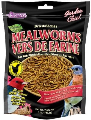 mealworms.jpg