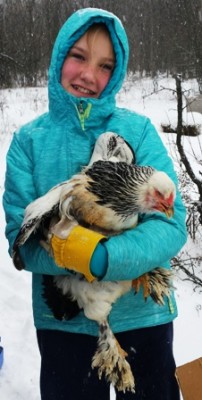 Bramha hen.jpg