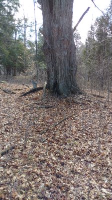IMG_20160402_121127232.jpg