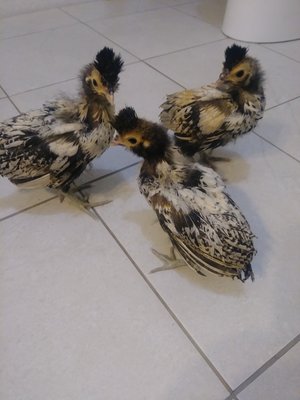 Not big on the cold tiles