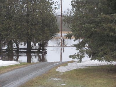 Flood April 15 2018.jpg