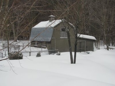 Barn snowed in.jpg