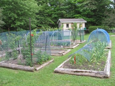 Gardenning under cover 2024.jpeg