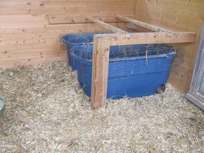 New stall bins and roosts.jpg