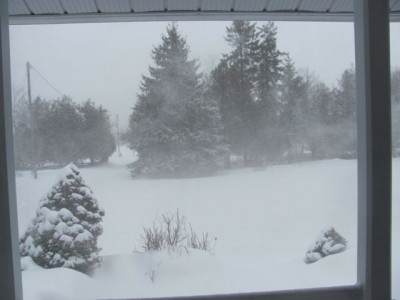 whiteout.jpg
