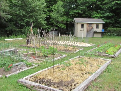 veg gdn & shed.jpg