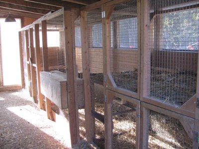 Nest boxes Cage.jpg