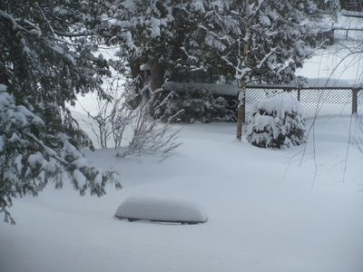 Garden bench.jpg