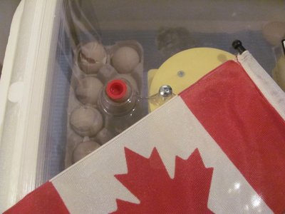 Canada Day hatch 1.jpg