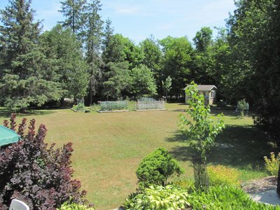 July 8 front lawn.jpg