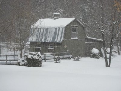 Snow March 15 2017.jpg