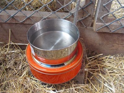 Water dish 3.jpg