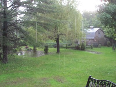 Deluge July 11.jpg